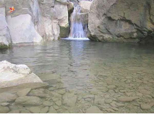 چشمه معدنی آبعلی