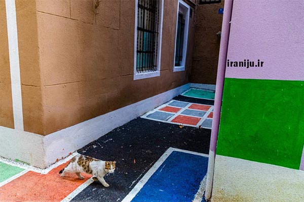 کوچه های محله شهید دستغیب تهران