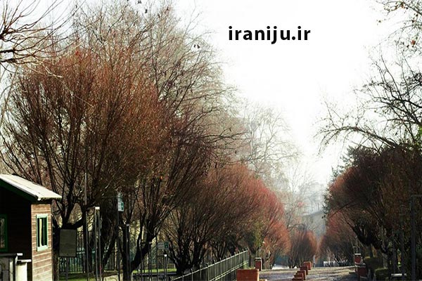 پارک نیاوران شمال تهران