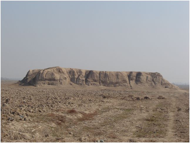 تپه ده مویز باغستان تهران