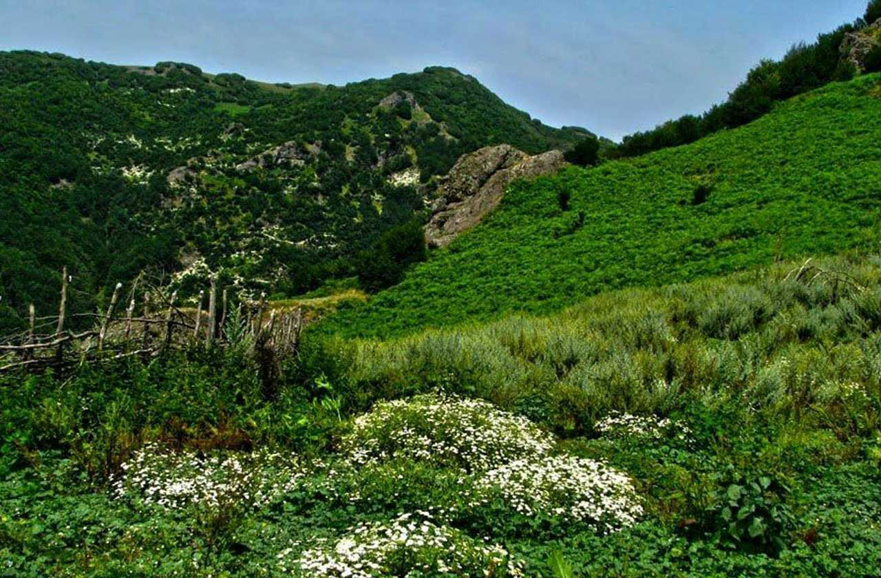 روستای چی چی نی کوتی لاهیجان