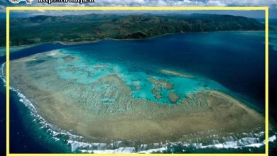 تصویر هوایی از جزیره کیش
