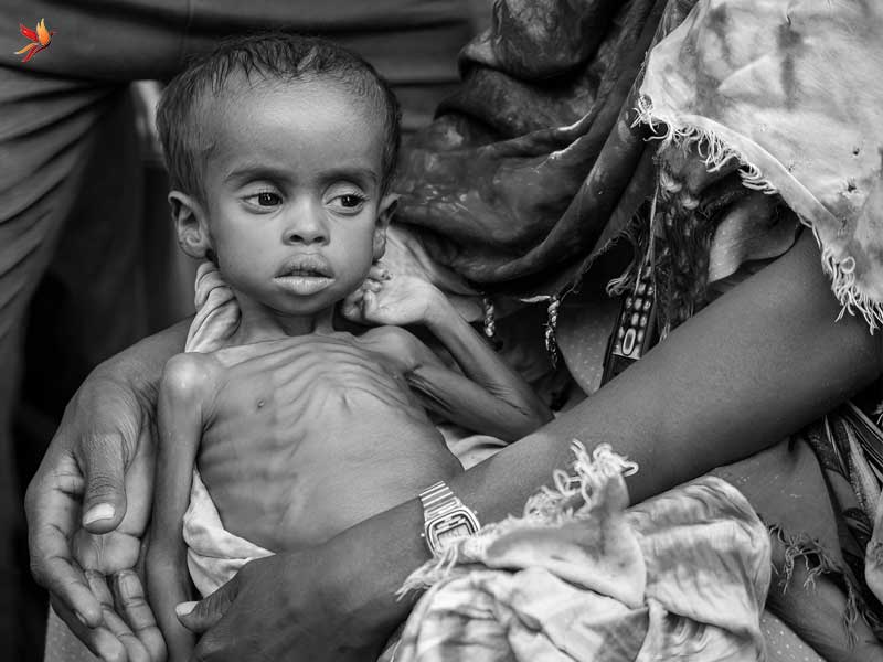 چرخه های قحطی و خشکسالی در قاره آفریقا 