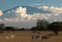 آشنایی با قاره آفریقا