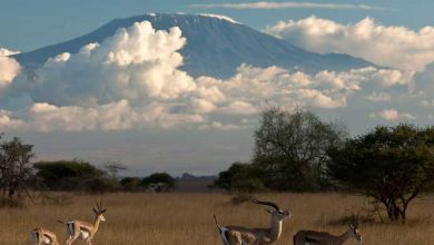 آشنایی با قاره آفریقا