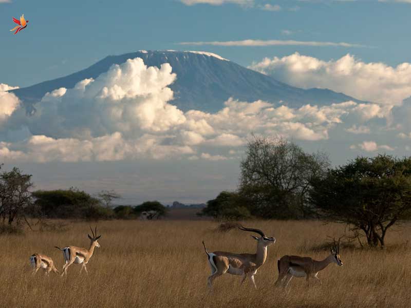 آشنایی با قاره آفریقا