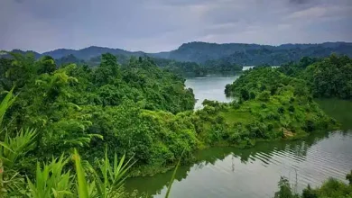نمایی از طبیعت بنگلادش