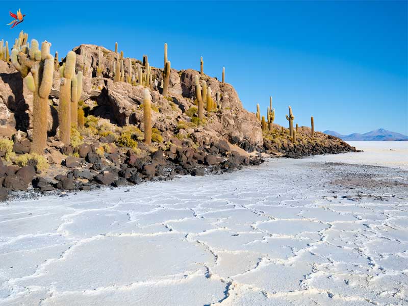 بهترین زمان سفر به بولیوی