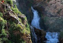نمایی از چشمه کوهرنگ