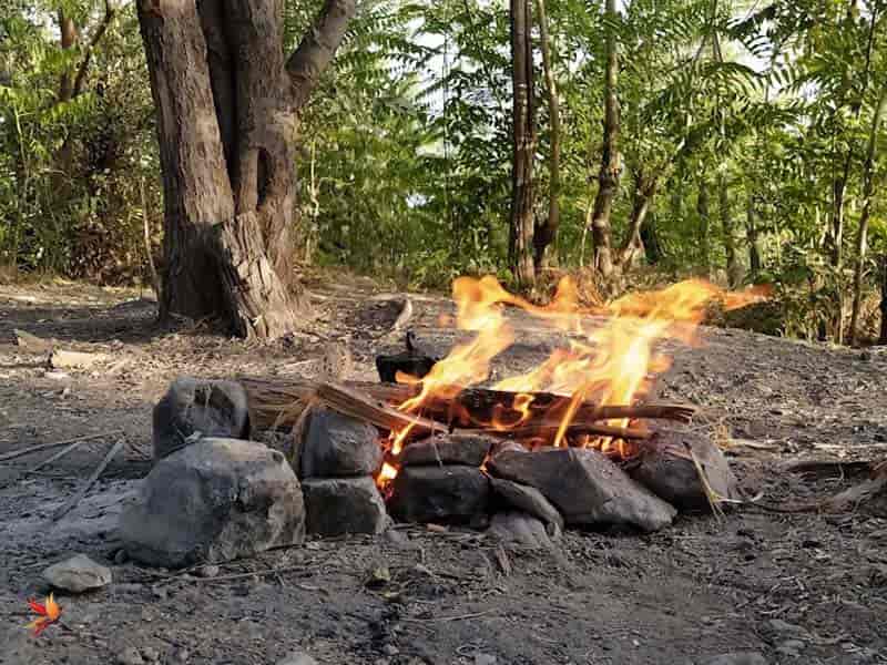 آتش برای جوجه کباب در پارک جنگلی چیتگر کرج