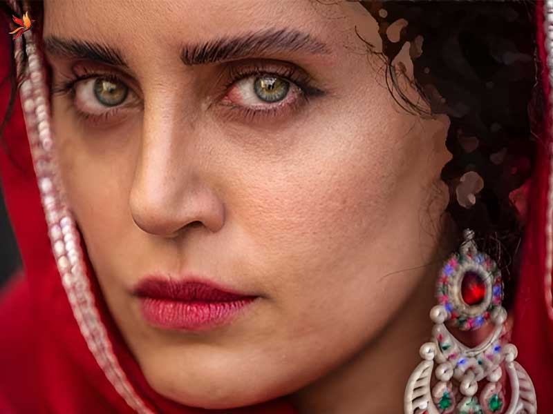 الناز شاکردوست و فعالیت های اجتماعی 