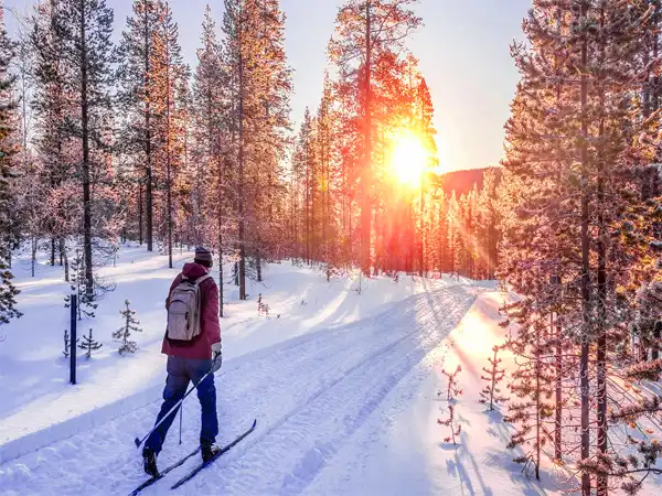 زمستان سرد فنلاند