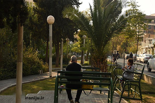 فضای سبز در محله فاطمی تهران