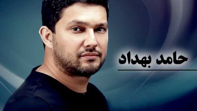 بیوگرافی حامد بهداد