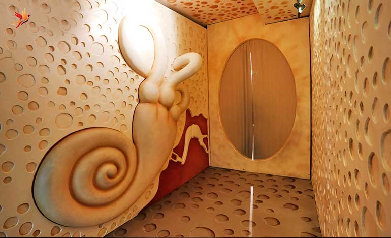 هیومن پارک مناسب علاقمندان به علوم زیستی و شناخت بدن