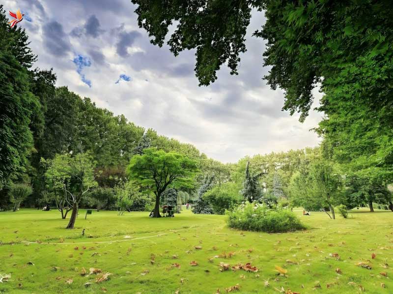 محوطه سبز کاخ موزه سعدآباد