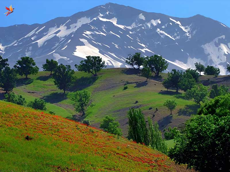 چشم انداز طبیعی و مناظر زیبای شهرستان کوهرنگ