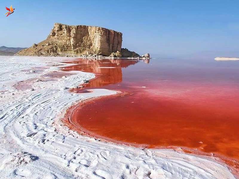 پیامدهای زیست‌محیطی خشکی دریاچه ارومیه