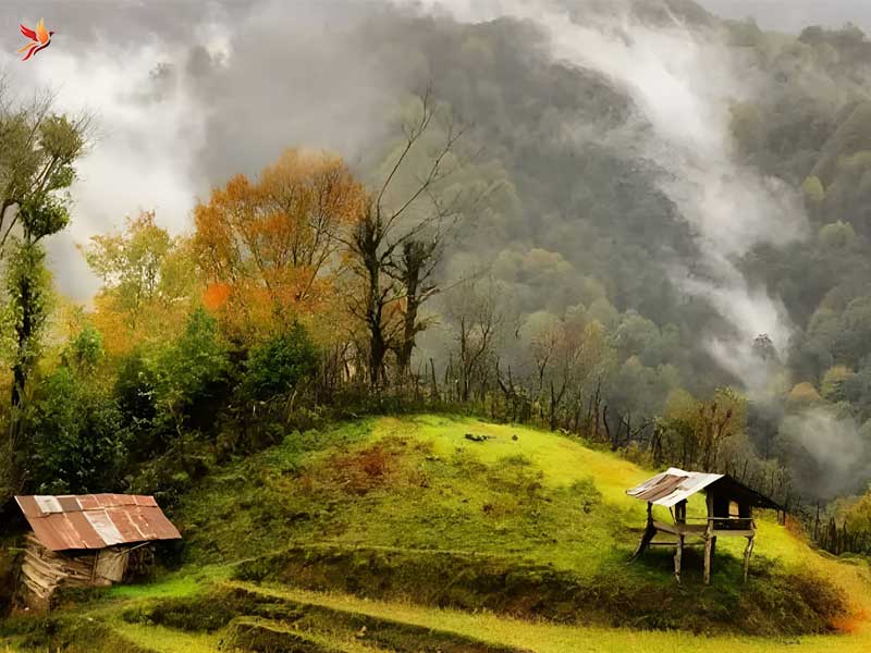 طبیعت سرسبز لنگرود