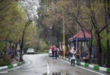 محله لویزان تهران