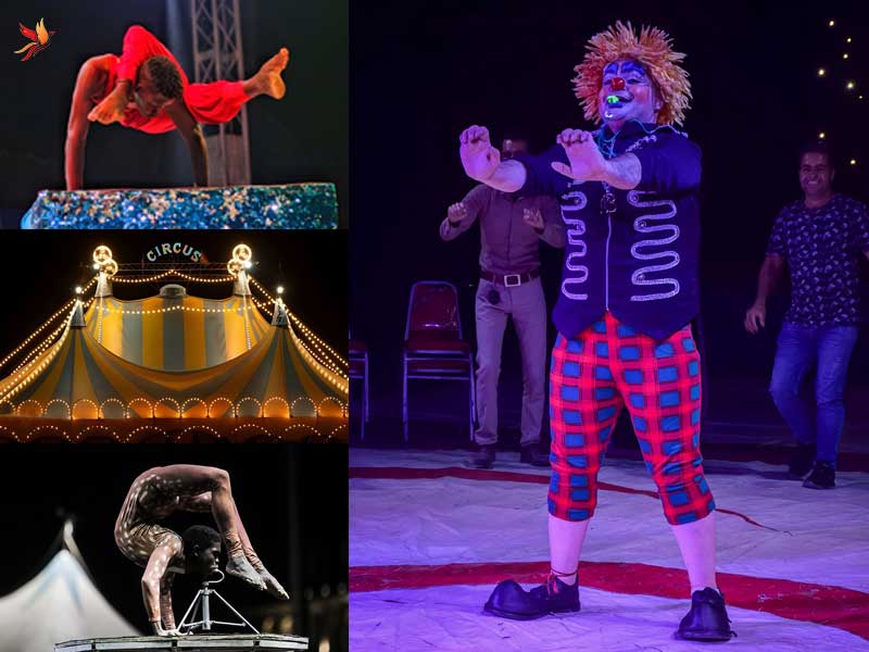 برنامه های متنوع سیرک ایران پرتغال در برج میلاد