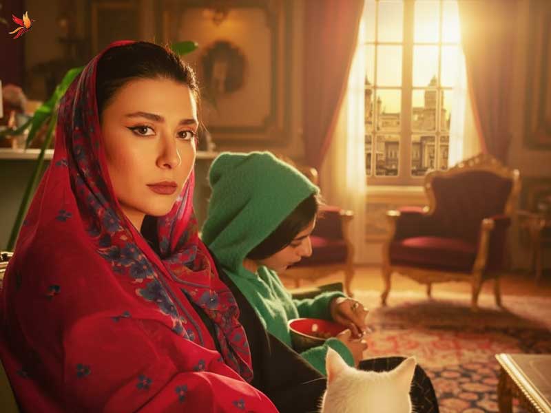 نکات برجسته درباره مژده دایی