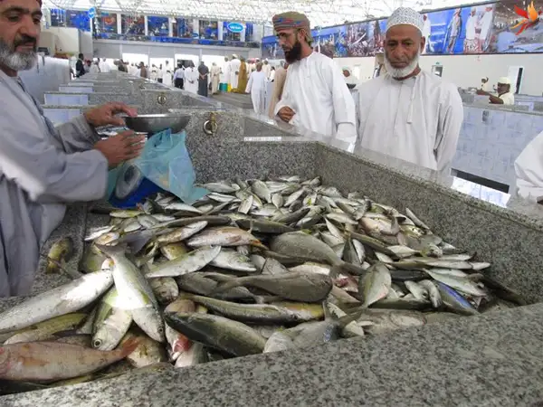اقتتصاد مسقط بر پایه‌ ماهیگیری