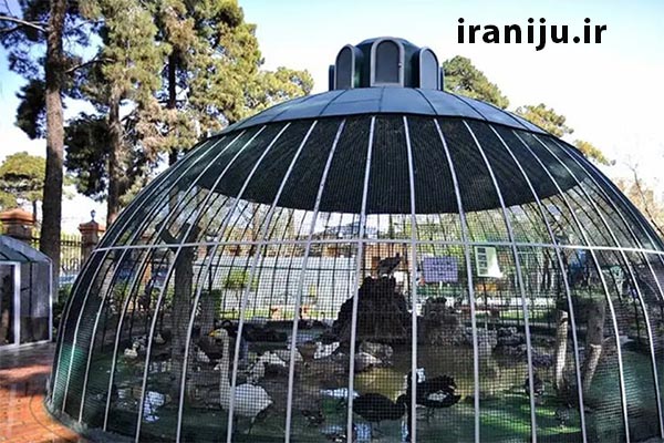 موزه پرندگان خشک تهران در هفت چنار