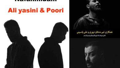 آهنگ نفهمیدم علی یاسینی به همراه متن کامل و کیفیت 320