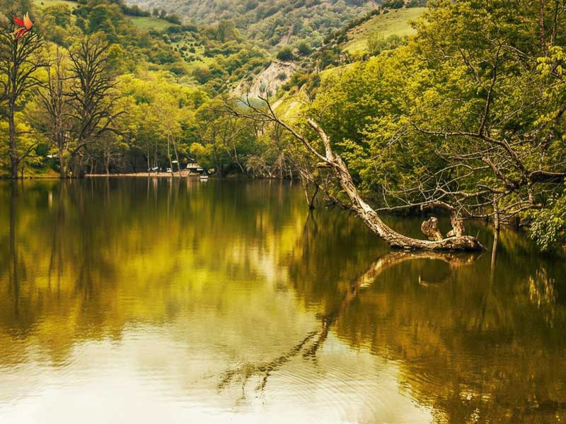 دریاچه الیمالات نگین سبز در مسیر شهر نور