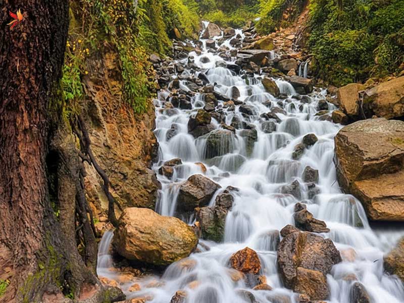 آبشار آب‌پری طبیعتی کنار جاده در نزدیکی رویان و حدود ۵ کیلومتری شهر نور