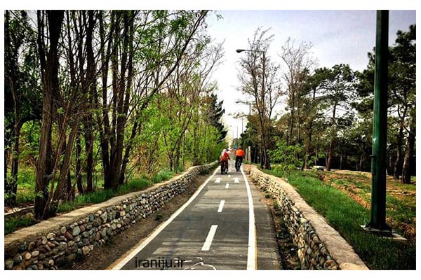 پیست دوچرخه سواری در پارک جنگلی چیتگر