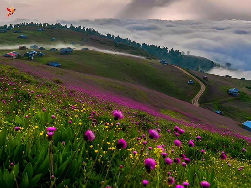 آب و هوا و طبیعت رودبار