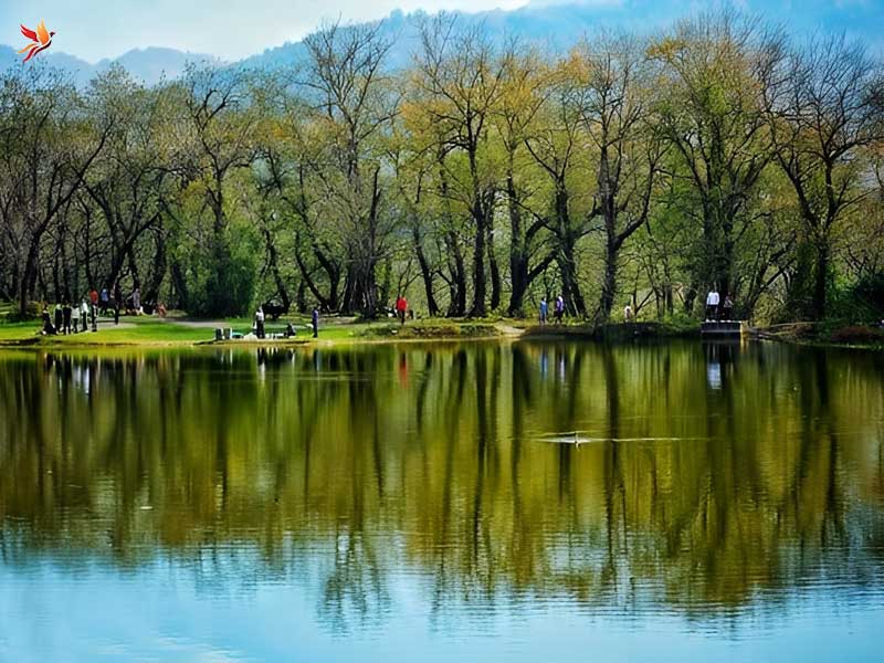 دریاچه حلیمهجان؛ عروس دورنگ گیلان در رودبار