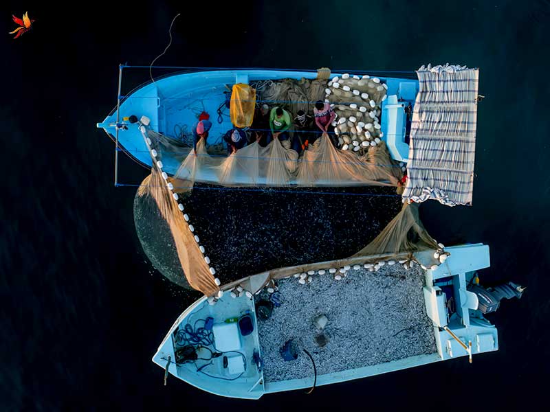 صید سنتی در سهیلی قشم 