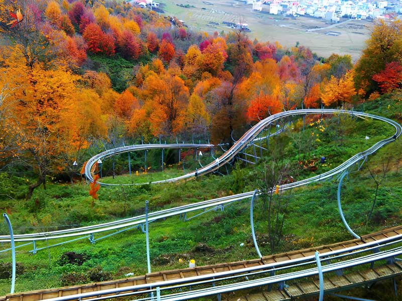 مسیر جنگلی چشم نواز سورتمه تالش 