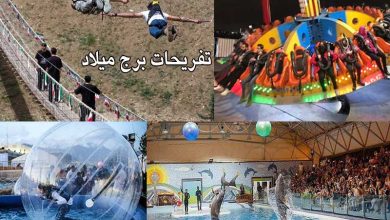 آشنایی با تفریحات برج میلاد تهران