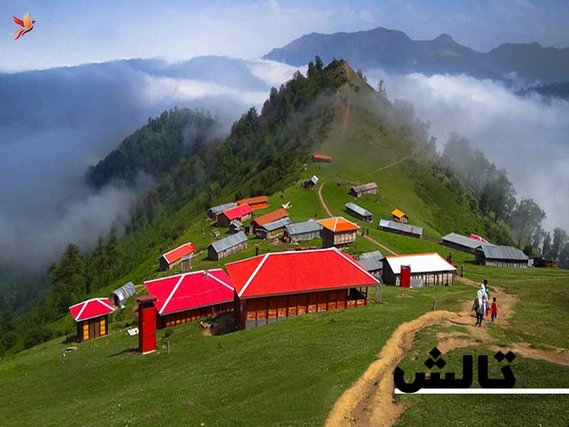 تالش کجاست؟