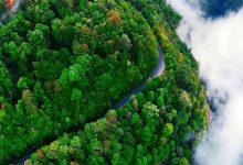 نمای جنگل های انبوه تالش