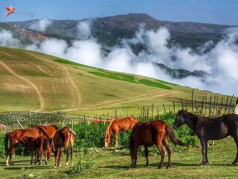 نمایی از طبیعت بکر تالش 