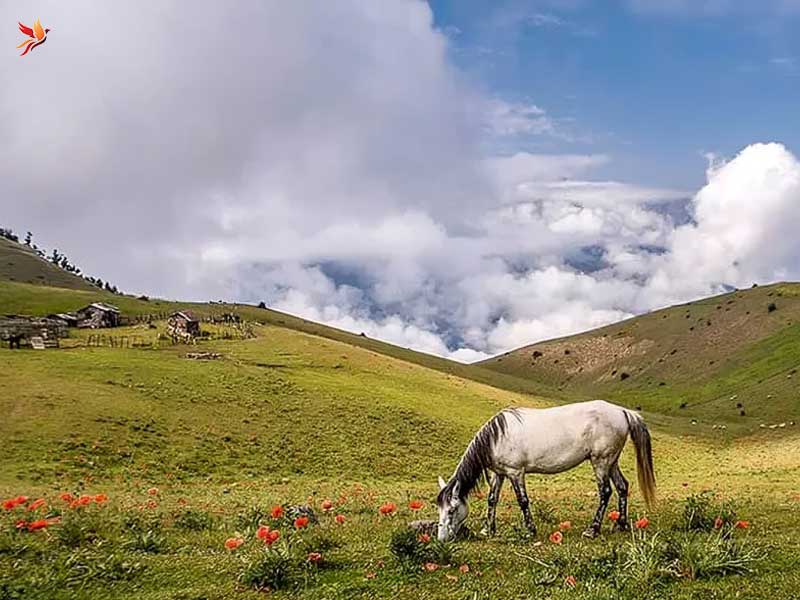 ارتفاعات سبز تالش 