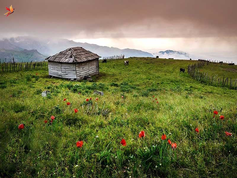 طبیعت بکر تالش در غرب استان گیلان 