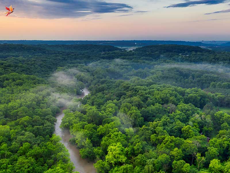 جنگل‌های آمازون مهم‌ترین جاذبه‌های ونزوئلا