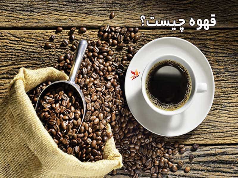 قهوه چیست؟ آشنایی با مزایا و مضرات آن